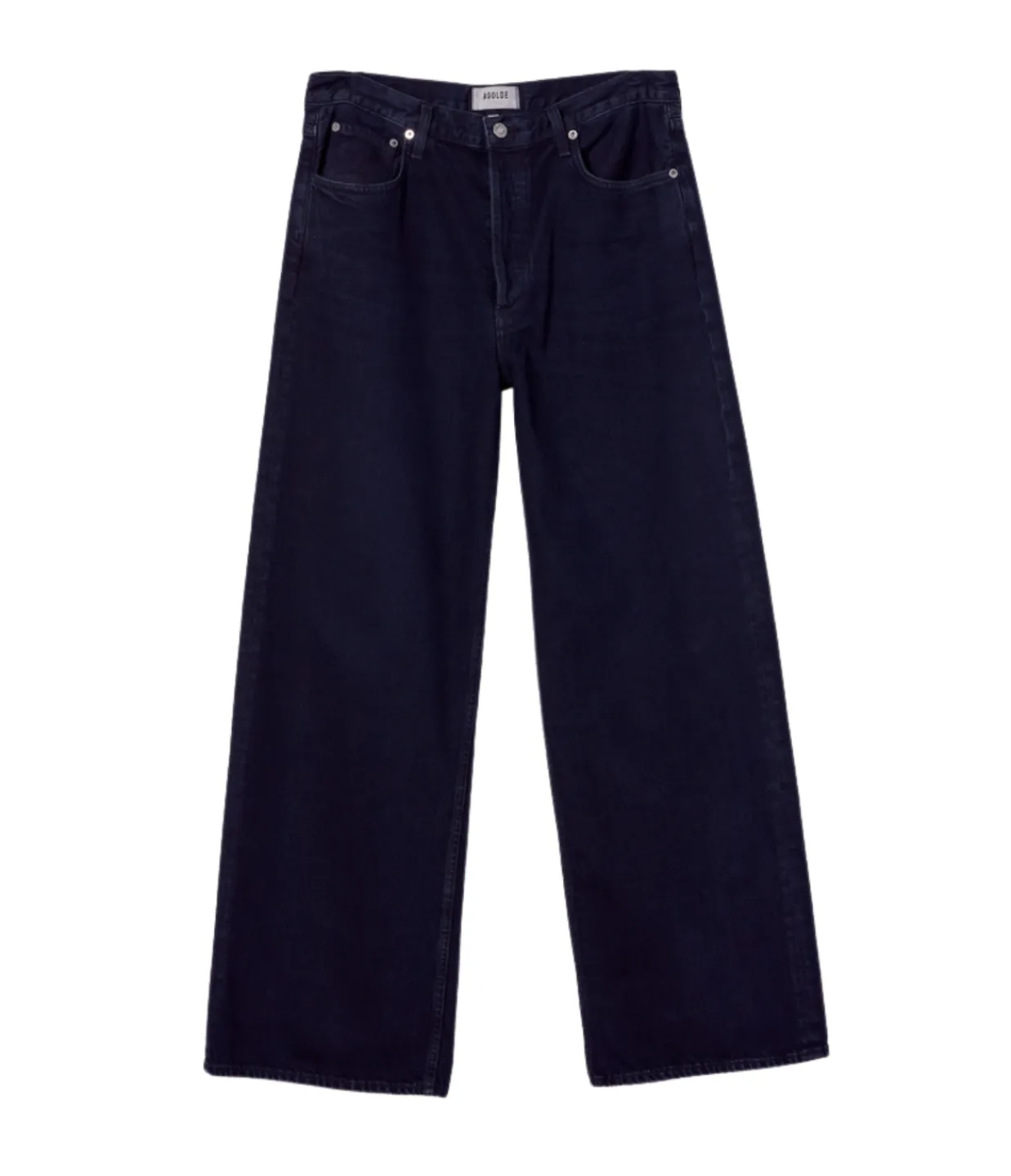 Agolde Low Slung Baggy in Crushed Shop