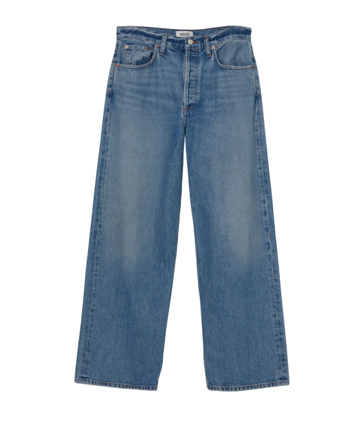 Agolde Low Slung Baggy Jean in Libertine Cheap