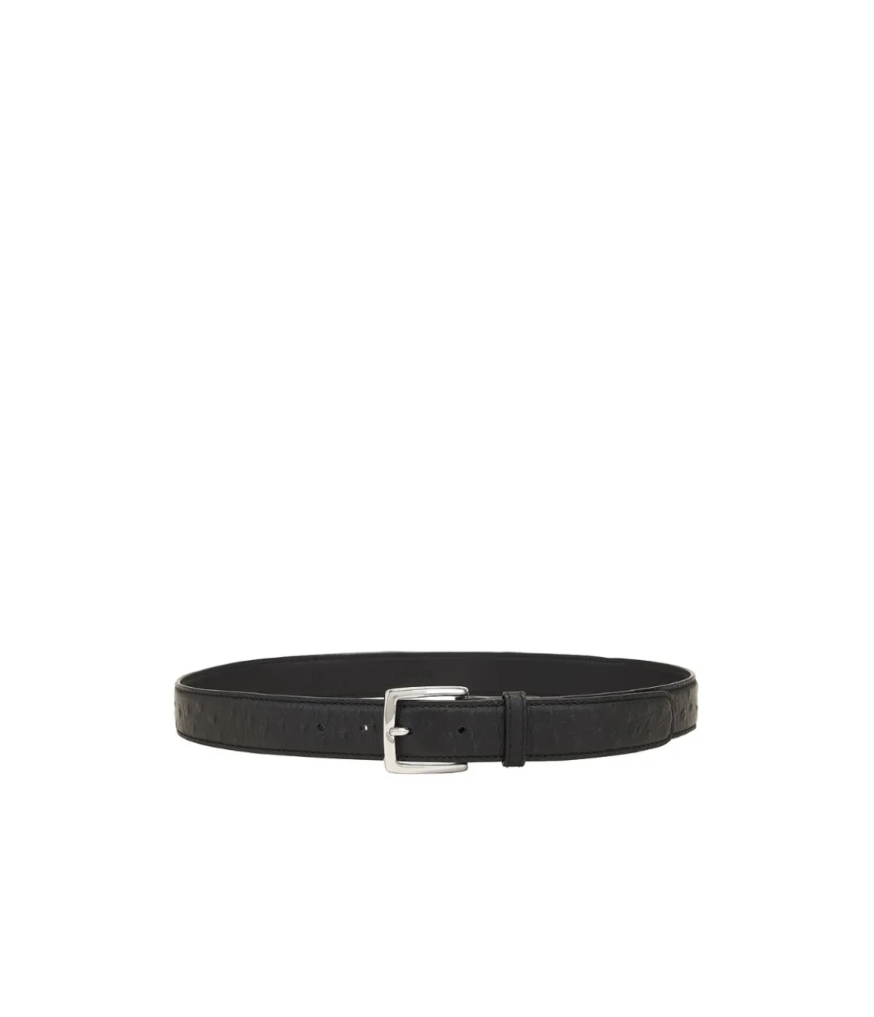 ROHE Ostrich Leather Belt in Black Sale